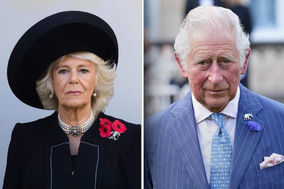 Royal Family Camilla incontro harry